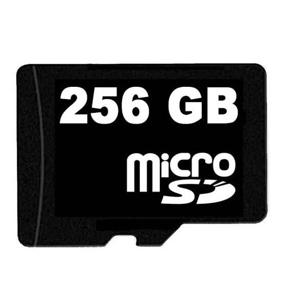 256GB MicroSD Card